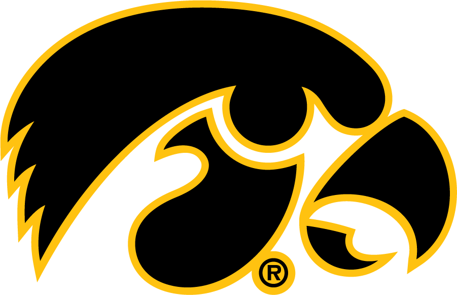 Iowa Hawkeyes 1979-Pres Alternate Logo diy DTF decal sticker